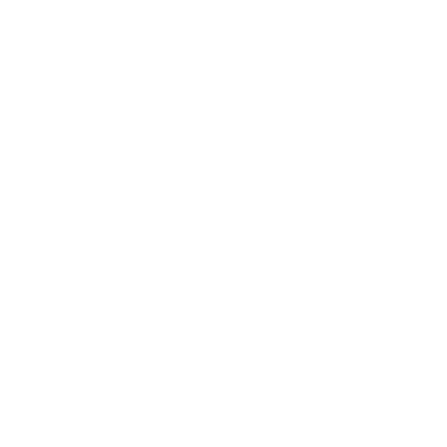 The Startup